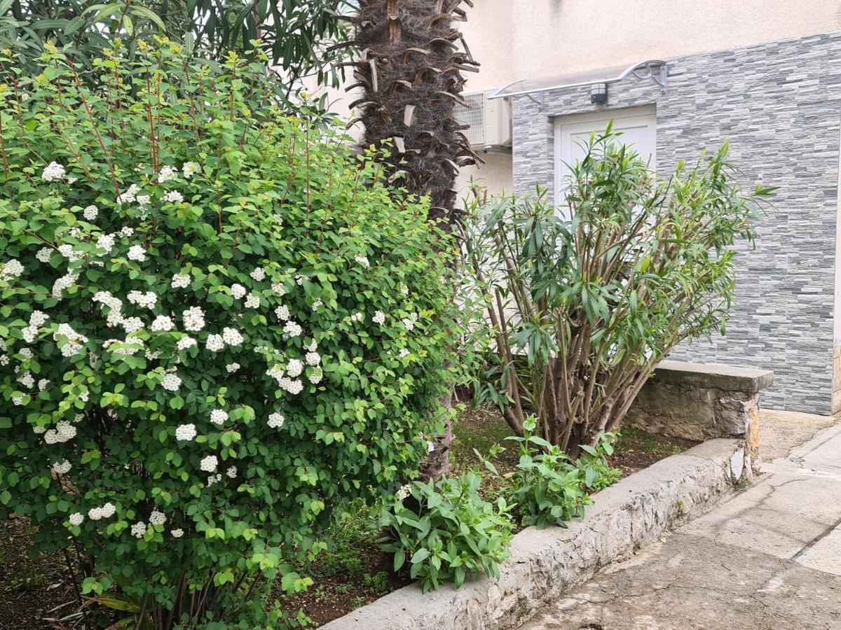 קריקווניצה Apartman Nika מראה חיצוני תמונה